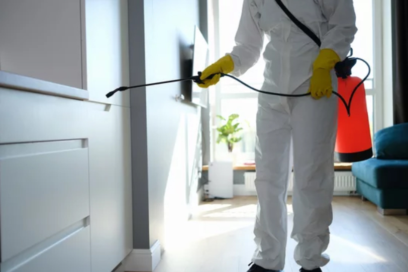 Latest Cleaning Tips: What You Need to Know About Disinfection cleaning Equipment