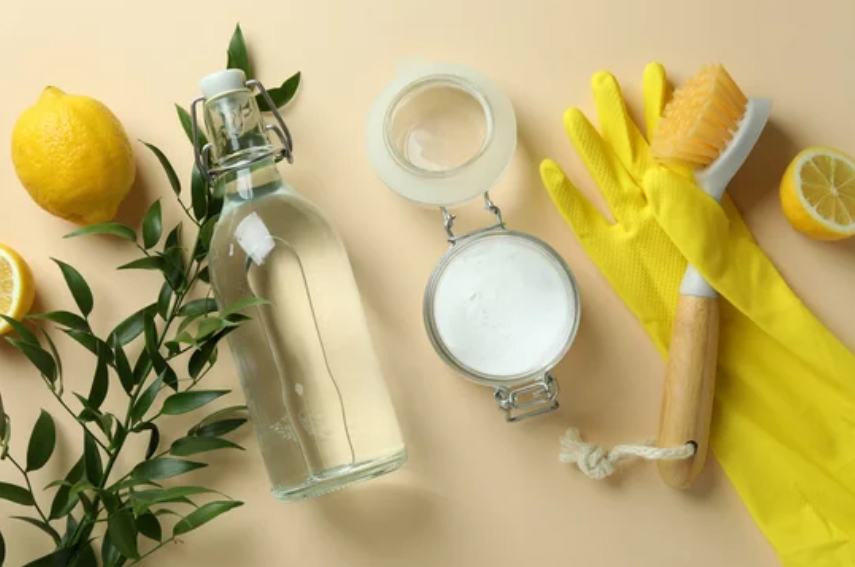 Disinfection Cleaning Equipment That is Safe for Your Children and Pets